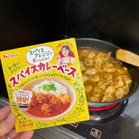 《レシピあり》ナスチキンカレー〜ハウス・スパイスカレーベース〜