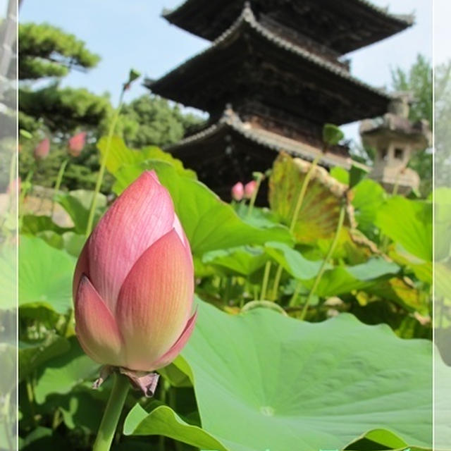 和歌山の旅～道成寺編～