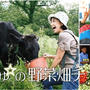 ”天空のポピーからの〜埼玉秩父ぜんぶ友達グルメ！小鹿野町吉田牧場 さんの酪農ツーリズム”