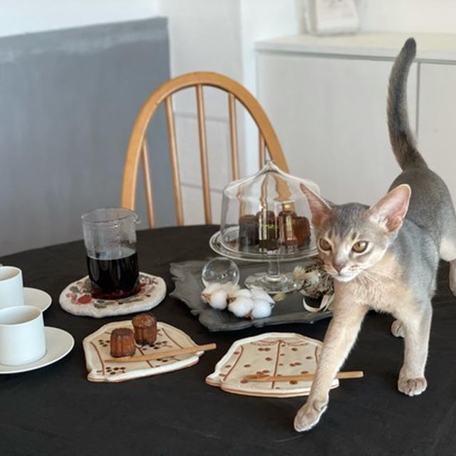 梨さん便の美味しいもので、おうち猫カフェ♪