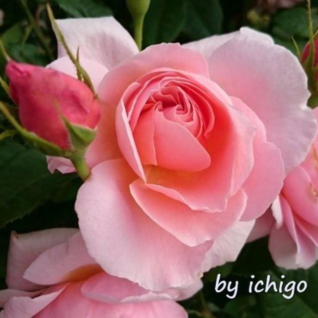 ブログ開設６周年記念日☆ごあいさつ