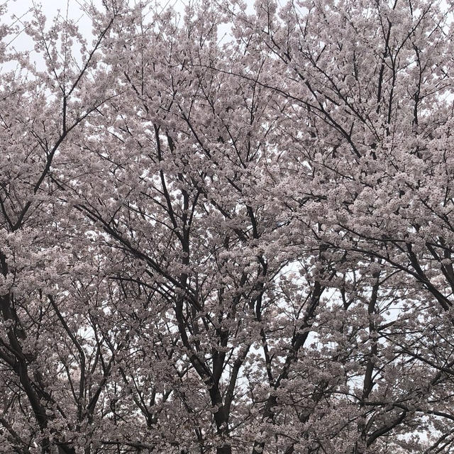大切なお知らせ
