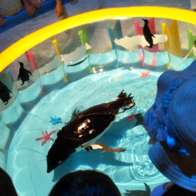 南極・北極展☆ペンギンのロボット＆オーロラライト