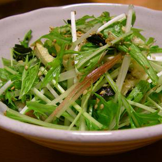 薬味たっぷりシャキシャキ水菜のサラダ