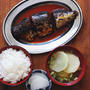 Mackerel