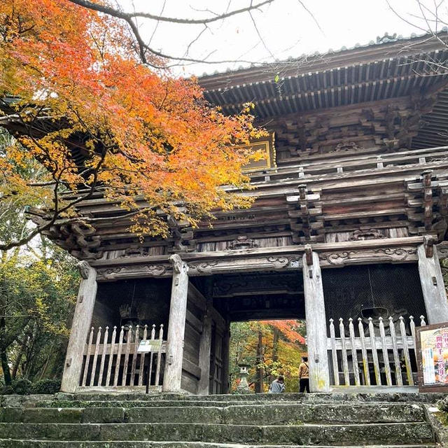 ちゃぶママのお出かけ日記