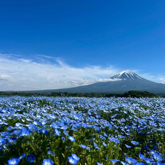 思い立って…。
