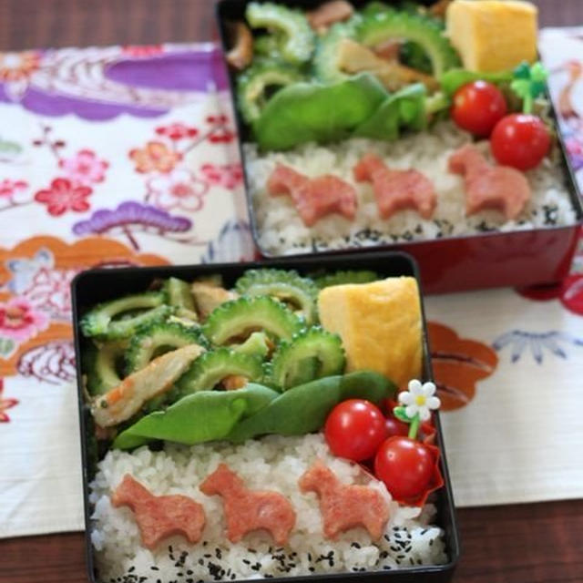 ゴーヤーちゃん弁当 ✿ 昨日の晩ご飯♪