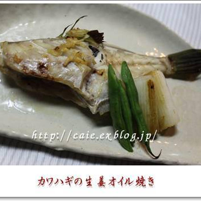 カワハギの生姜オイル焼き By カイエさん レシピブログ 料理ブログのレシピ満載