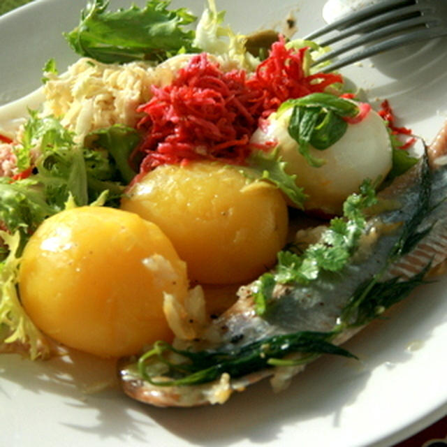 フランスビストロの味　鰊のマリネとじゃが芋のサラダ