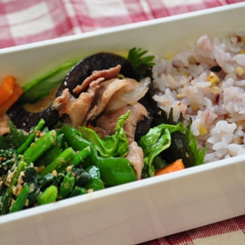 230100427　塩ダレ野菜炒め弁当【20分】