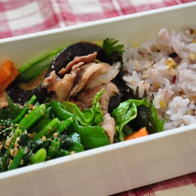 230100427　塩ダレ野菜炒め弁当【20分】