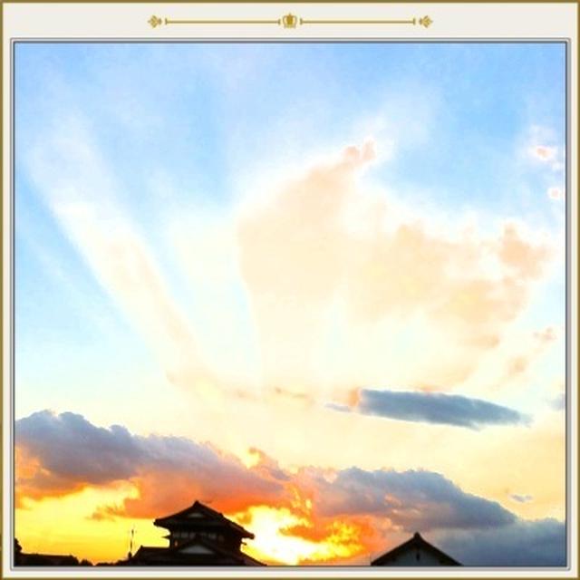 ウォーキング２連チャン～ひまわり畑見つける♪