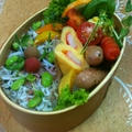 *今日のお弁当* by ささっちさん