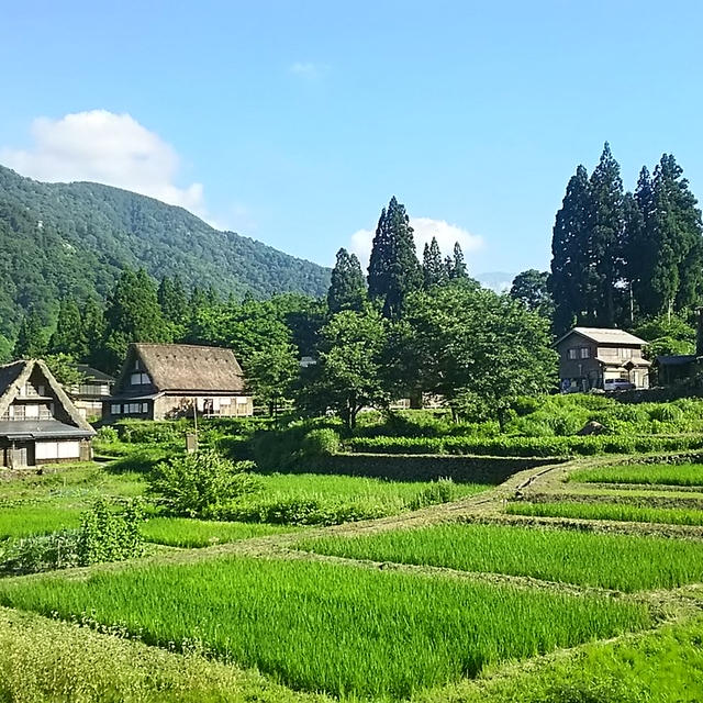 ☆五箇山合掌造りの風景☆