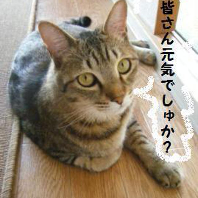 旦那様の釣果【11.05.19】＆事件です！