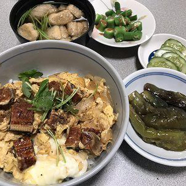 うな玉丼と茄子の煮浸し