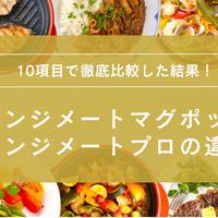 レンジメートプロとレンジメートマグポットの違いは？どっちがいいか10項目で徹底比較！