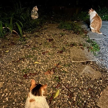 突然すぎました