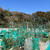 今週の収穫野菜（３月上旬）☆のらのら2017春号