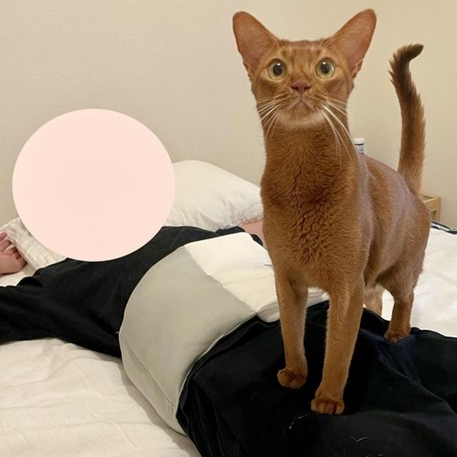 【PR】腰専用のお布団「お医者さんの腰futon」