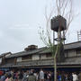 東北道 羽生PA「鬼平江戸処」に行ってきました♪