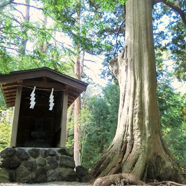 北口本宮冨士浅間神社の大塚丘は絶対行くべきパワースポット！