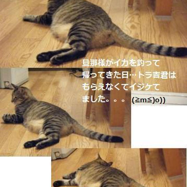 【アレンジ】ハロウィンは南瓜と猫だね♪