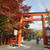 紅葉の京都旅行