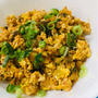 辛子高菜チャーハン風
