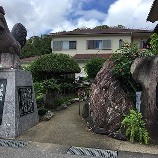 奄美大島に来たら鶏飯【けいはん　ひさ倉】～ばしゃ山村  ④