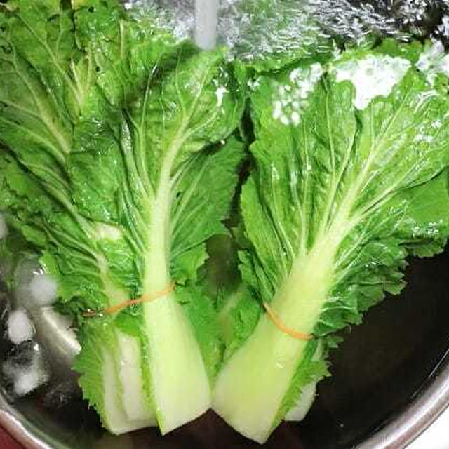 白菜の塩ゆで方法やコツ