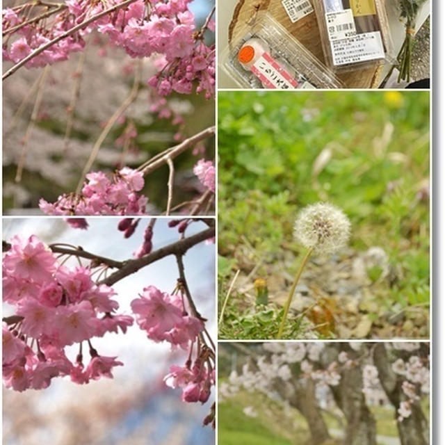能勢～篠山　春の香りと北欧カフェさんぽ