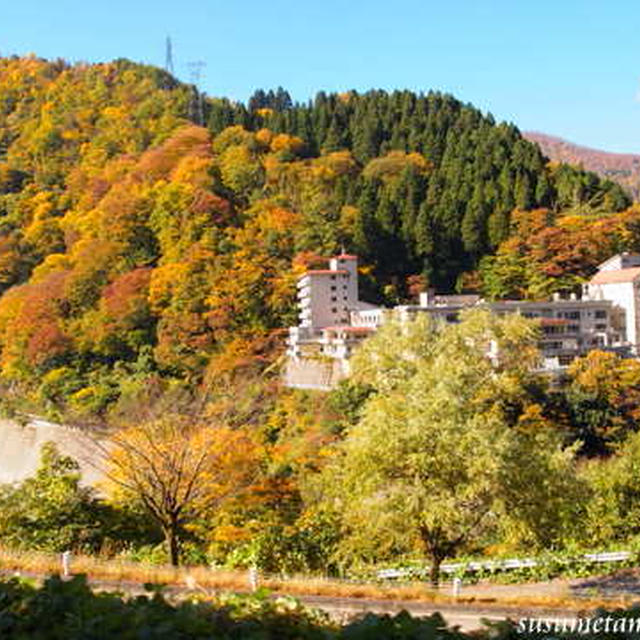 ３年３組でいく富山 黒部宇奈月温泉 トロッコ列車と紅葉の旅 レシピブログ