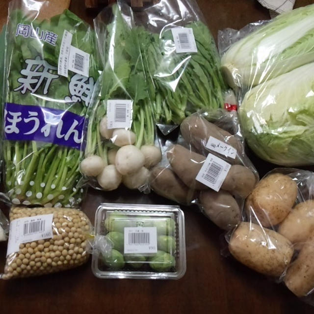 わくわくが止まらない