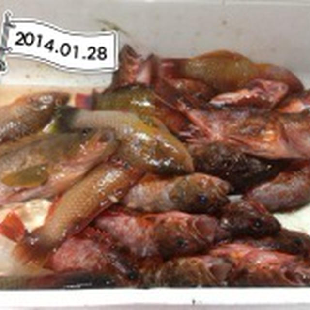 今日は大漁♬ & ryuji_s1さんの『牡蛎のオリーブオイル漬けのパスタ』