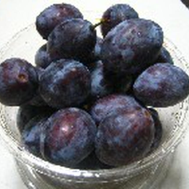 プルーン収穫･紫花豆