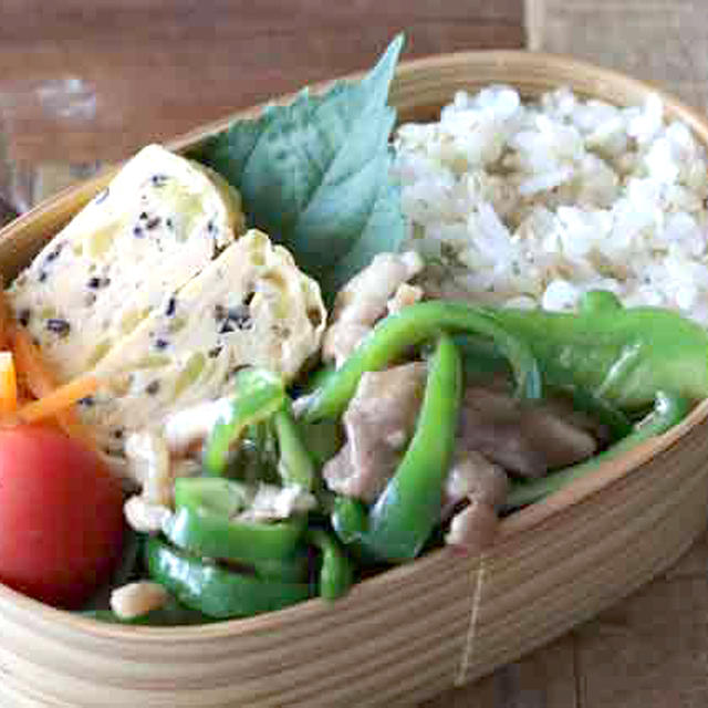 驚くほどごはんが進む♡豚こま肉とピーマンの中華風炒め弁当