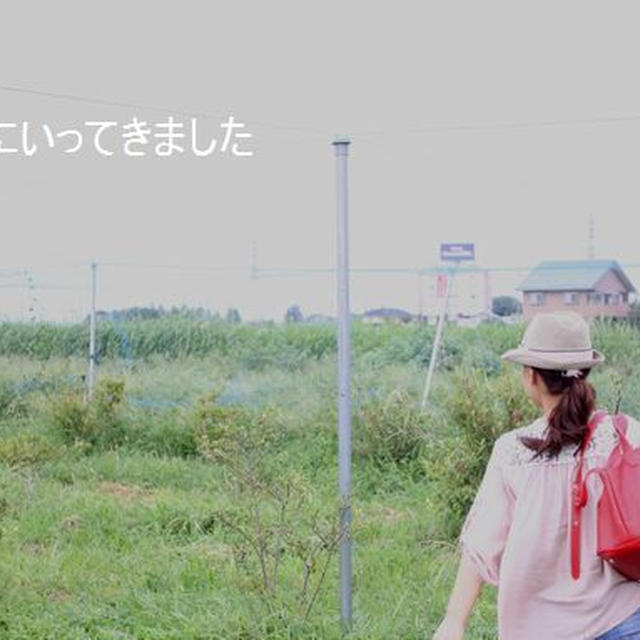 veggyのチカラ「本出版になります」