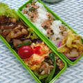 1/24鶏と玉ねぎの中華味噌煮弁当
