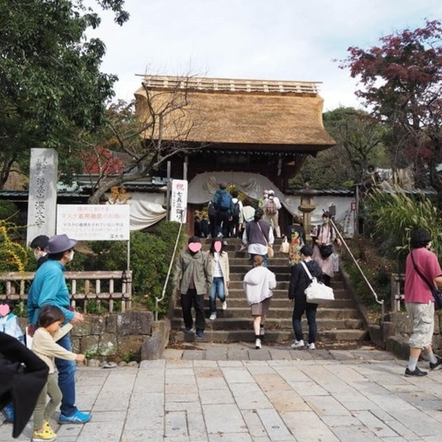今更ながらの、お散歩 ＠ 深大寺