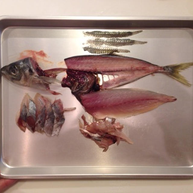 貝印さま「魚のおろし方講習〜和包丁を使いこなそう〜」終了！
