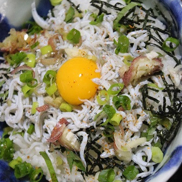 7月13日　　しらす丼