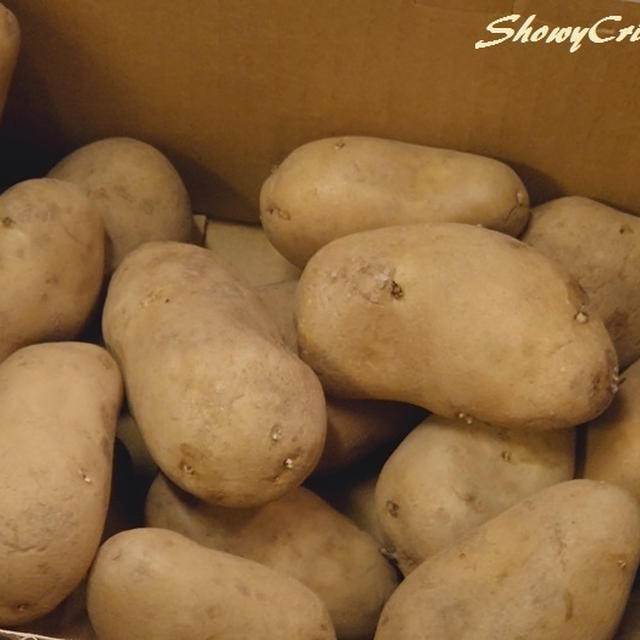 今年は質より量でジャガイモはメークイン一本勝負です(｀･ω･´)シャキーン