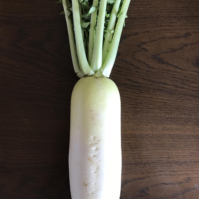 加賀野菜「源助大根」干しました。ベランダは野菜のワンダーランド