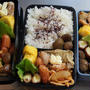 ごちゃごちゃ弁当3つ!!