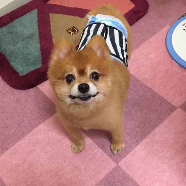 おウチで喫茶店のサンドイッチ？