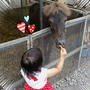 大沼ポロト動物園