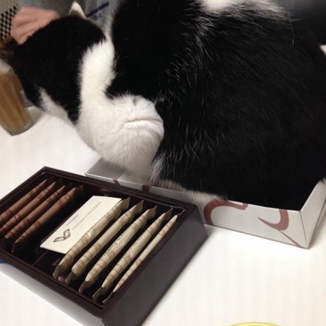 チョコレートのラングドシャ