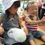 Zoo☆